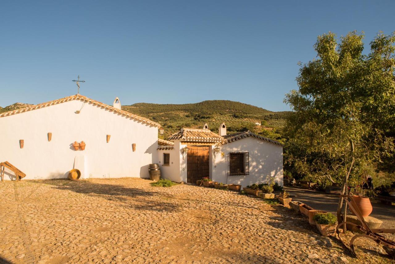 Cortijo Rural Majolero — hotel in Castillo De Locubin