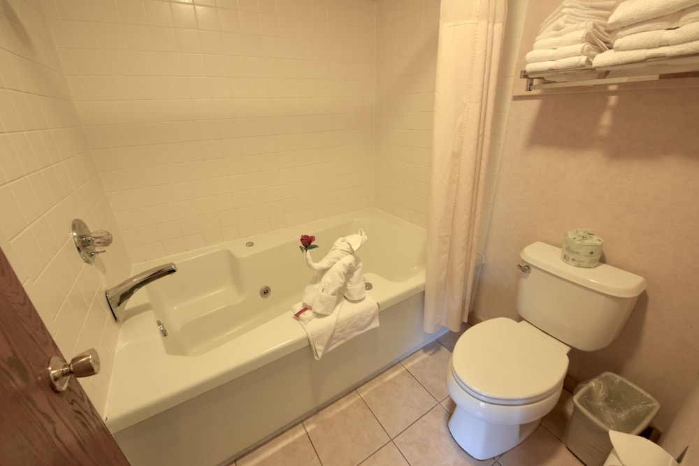 Days Inn by Wyndham Mackinaw City Lakeview - photo 29