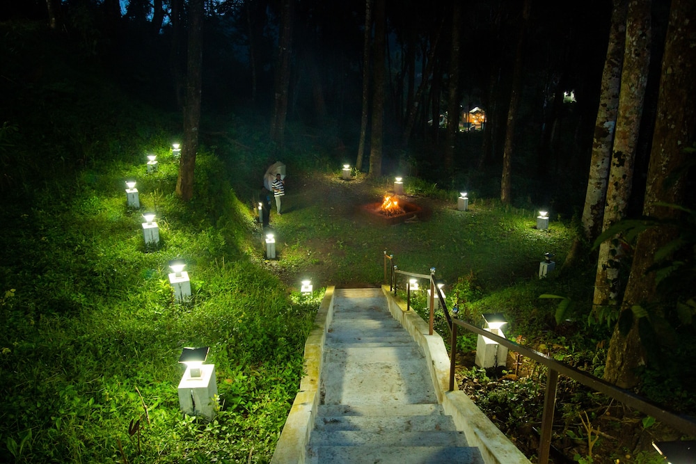Room The Nest Bettathur Coorg Ct 003 — Madikeri