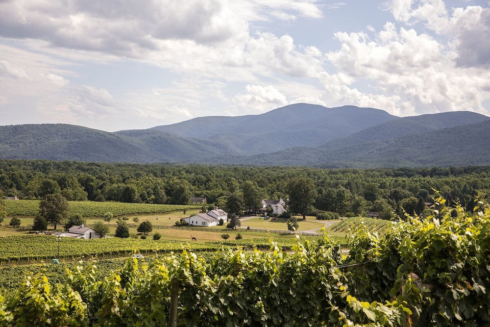 Afton Mountain Inn - photo 139