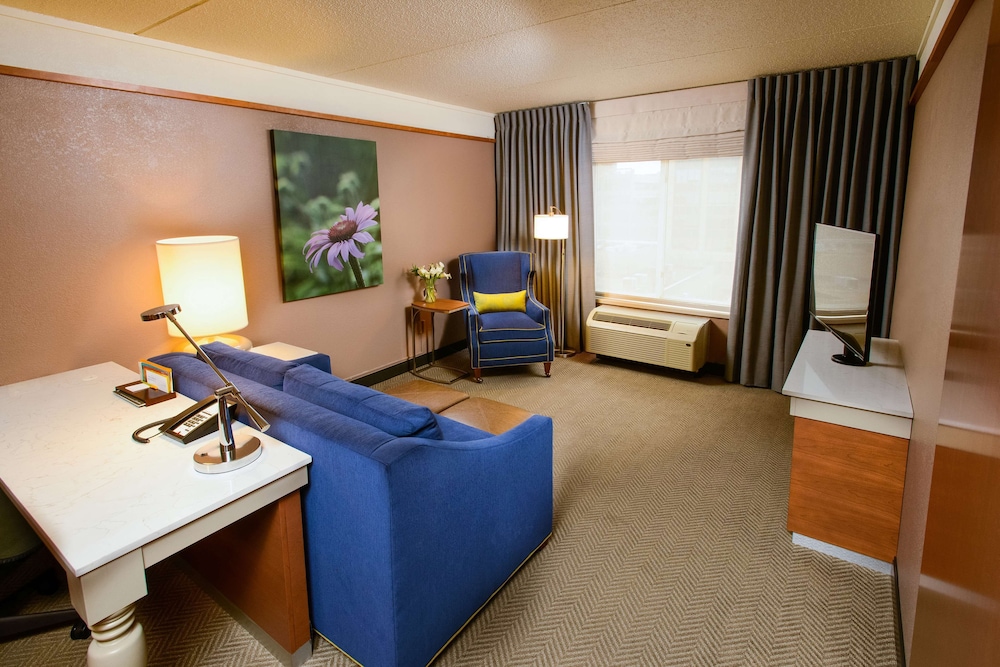 Hilton Garden Inn Rochester Downtown MN - photo 15