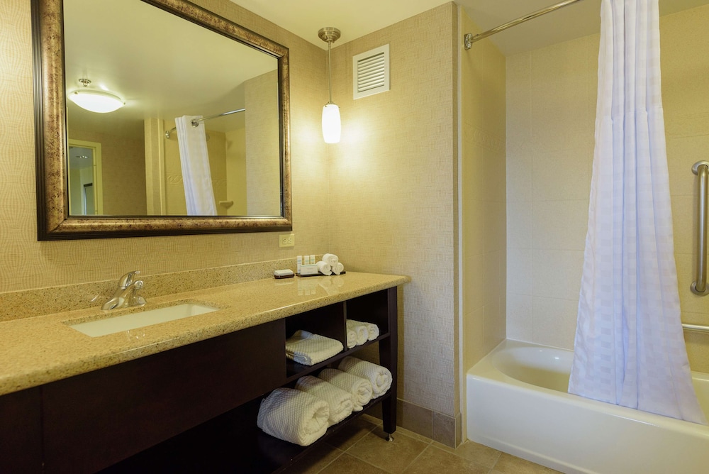 Embassy Suites by Hilton Minneapolis North - photo 19