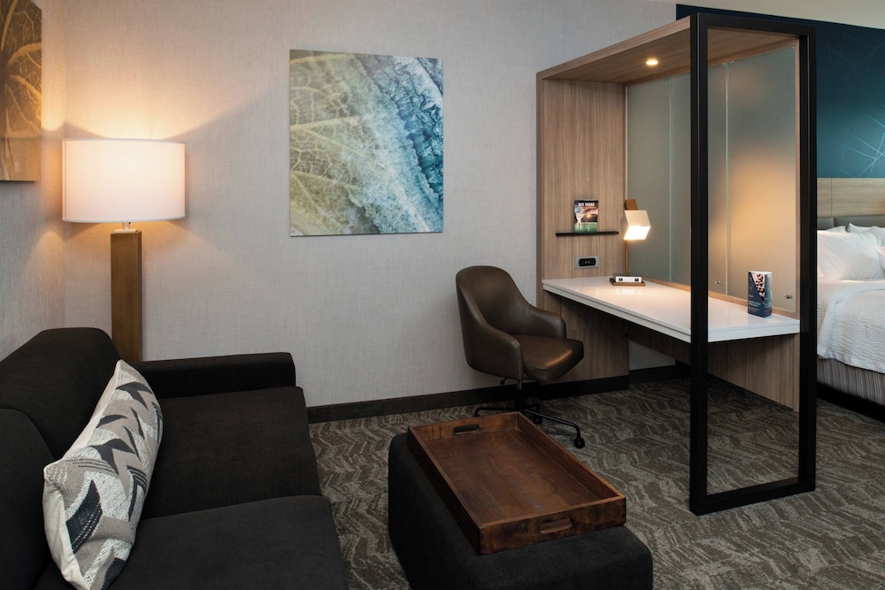 SpringHill Suites by Marriott Elizabethtown - photo 15