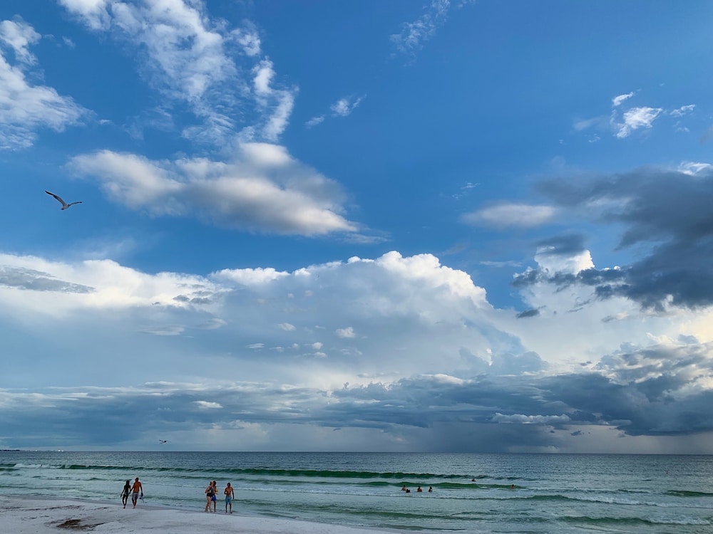 Casey Key Resorts Beachfront - photo 109