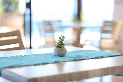 Siora Leni Hotel — Corfu — photo 5