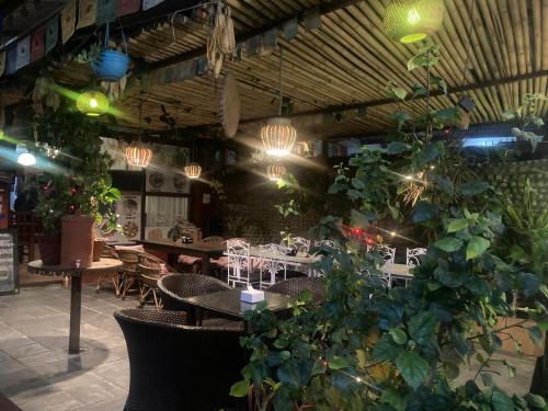Hotel Nightingale — Pokhara — photo 3