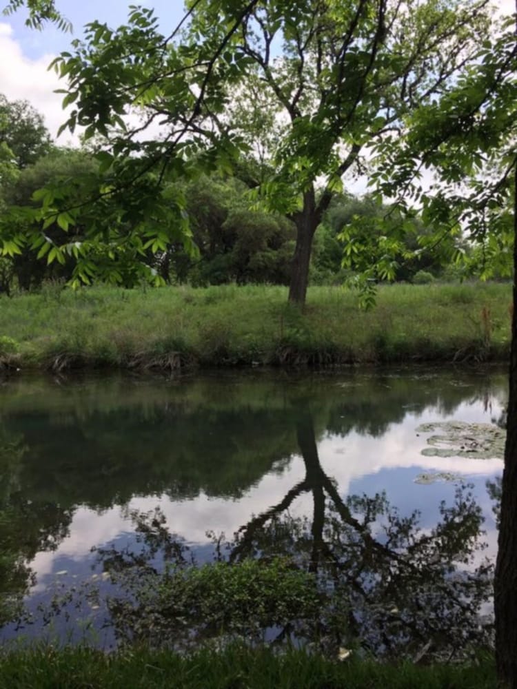 Frio Springs Lodges - photo 39