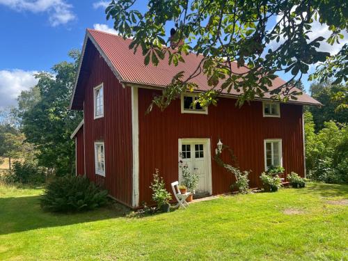 Månsarps skogs och alpackagård — Vimmerby — photo 4