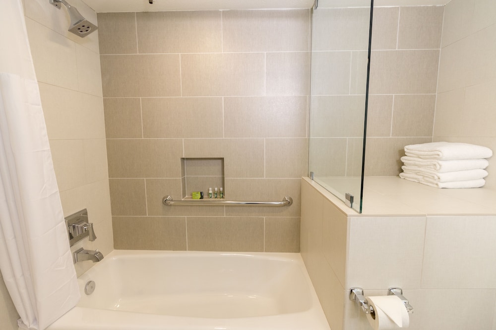 Carlsbad Seapointe Resort - photo 21