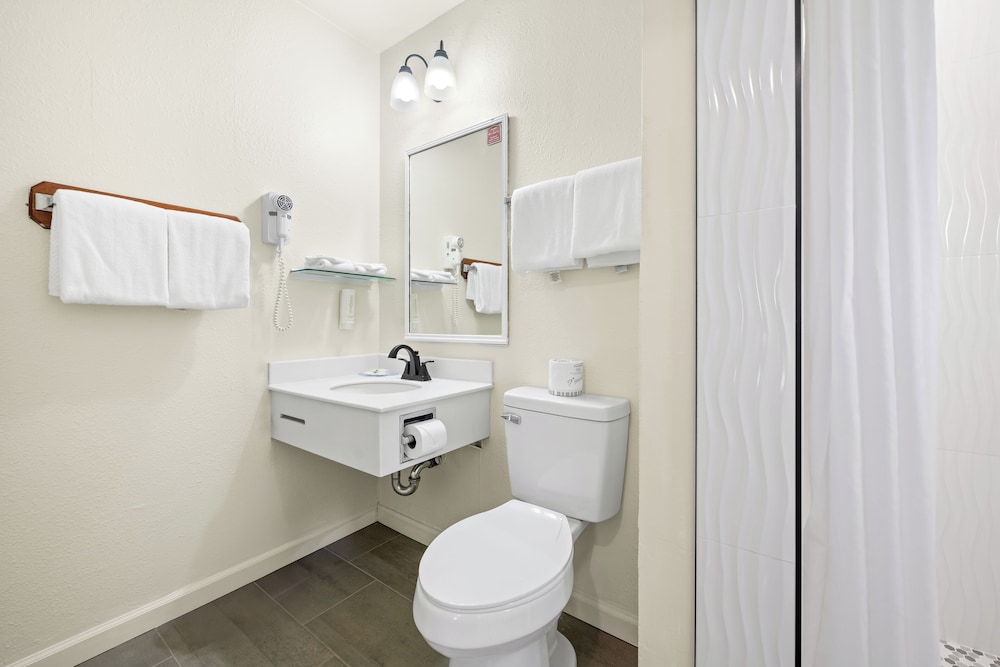 Econo Lodge Inn & Suites Heavenly Village Area - photo 30