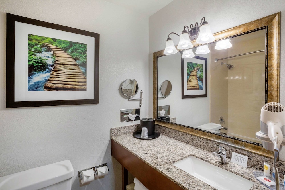 Comfort Inn Castro Valley - photo 14