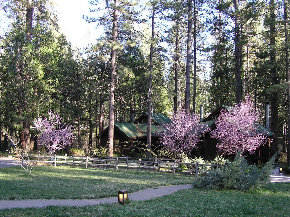 Quiet Creek Inn in Idyllwild, United States