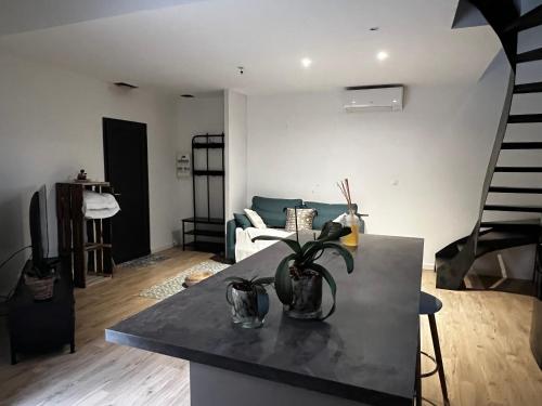 Gîte cosy entre mer et montagnes in Beziers, France