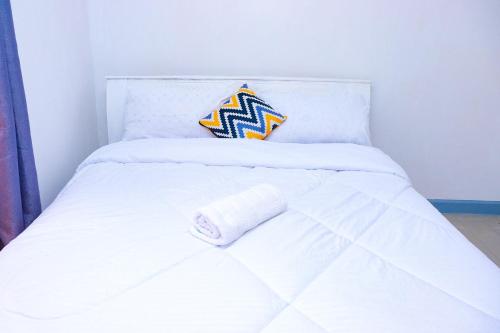 Homely Homestays