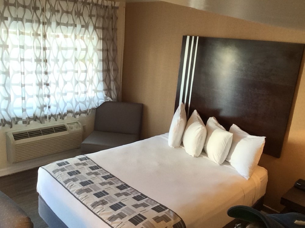 Super 8 By Wyndham Albany - photo 11