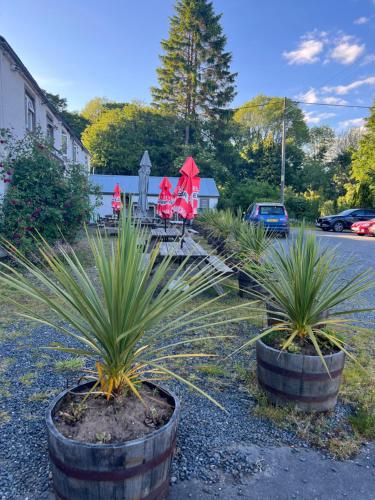 The Mill Inn - carbon neutral hotel in Penrith