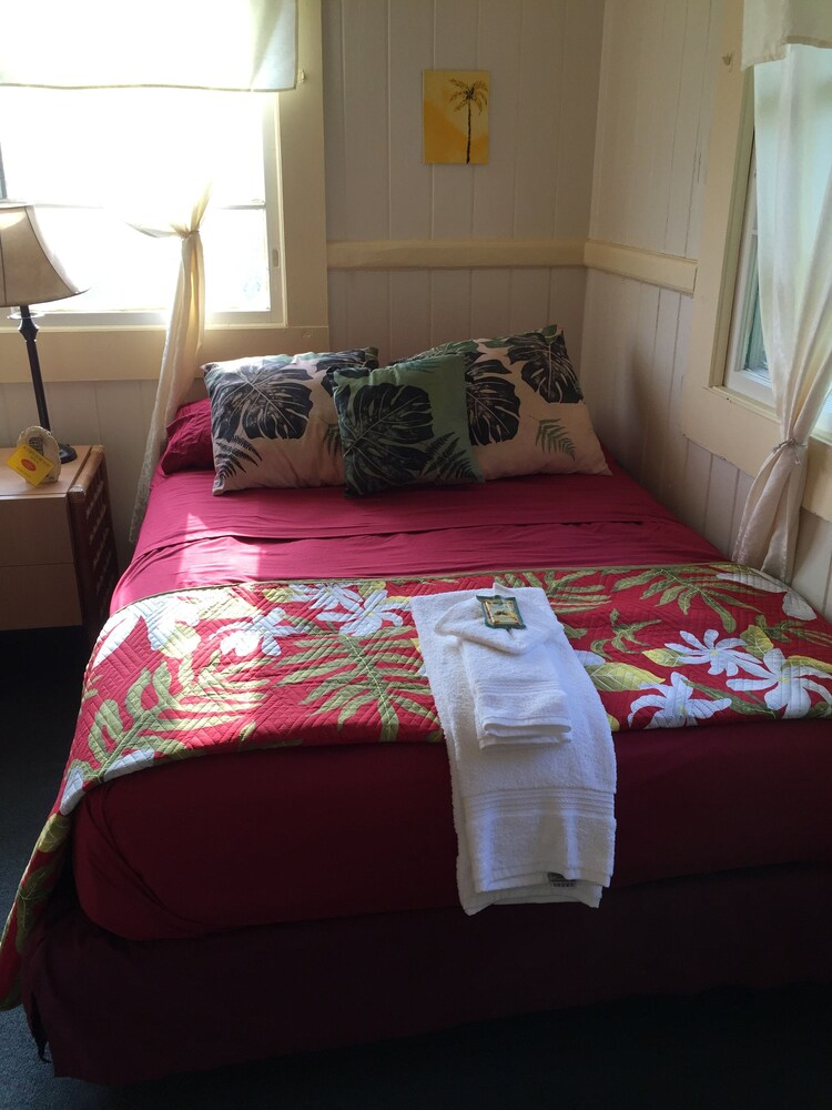 Wild Ginger Inn Hotel - photo 53