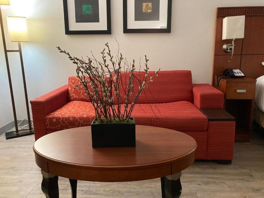 The Hotel Orange - photo 23