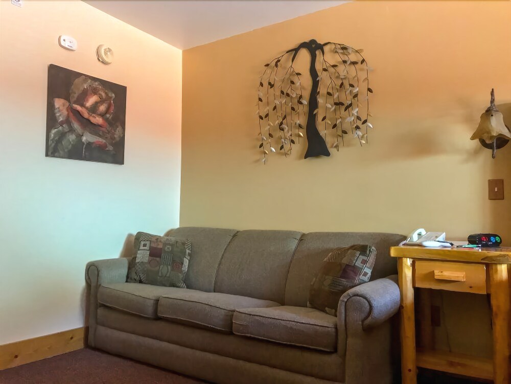Spearfish Canyon Lodge - photo 8