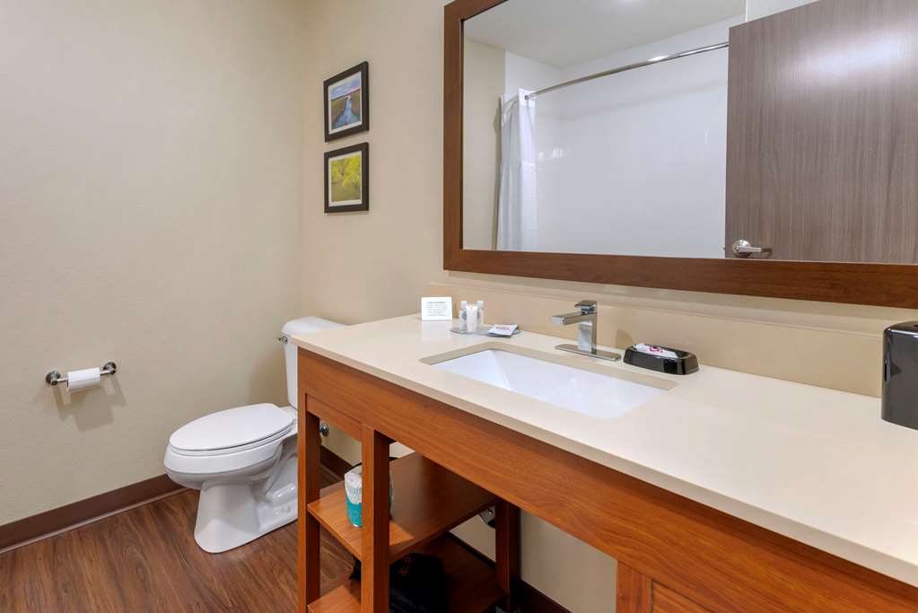 Comfort Inn & Suites North Mankato - photo 30
