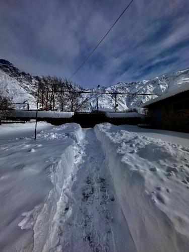 Guest house chavchavadze N23