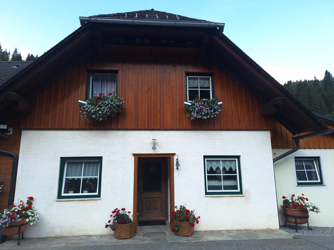 Ferienhaus Melchartboden — hotel in Stadl An Der Mur