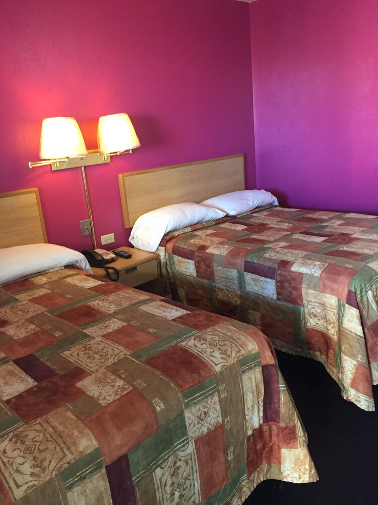 La Motel - photo 16