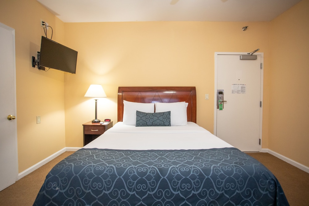 The Hotel Hollywood - photo 21