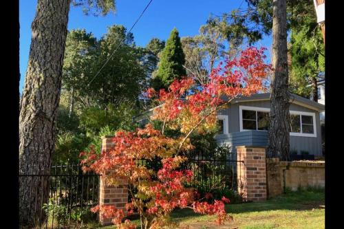 Sunflower House a cozy cabin at Lake Wentworth — 4-Star Luxury Hotel in Wentworth Falls, Australia