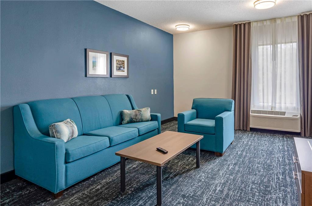 Comfort Inn & Suites Troutville Roanoke North - photo 14