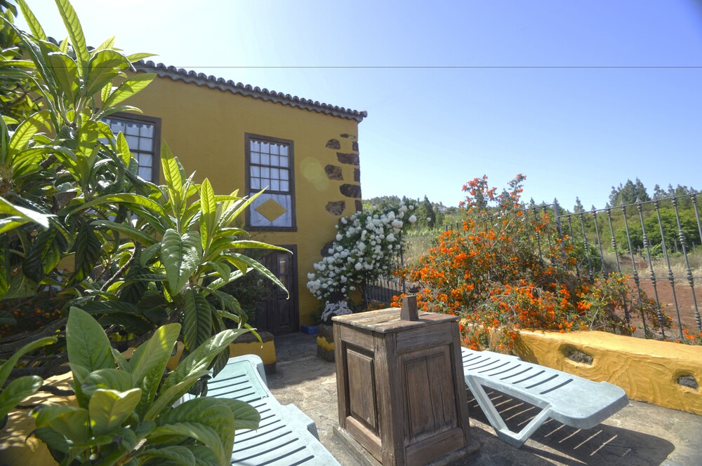 Federico — Puntagorda — photo 2