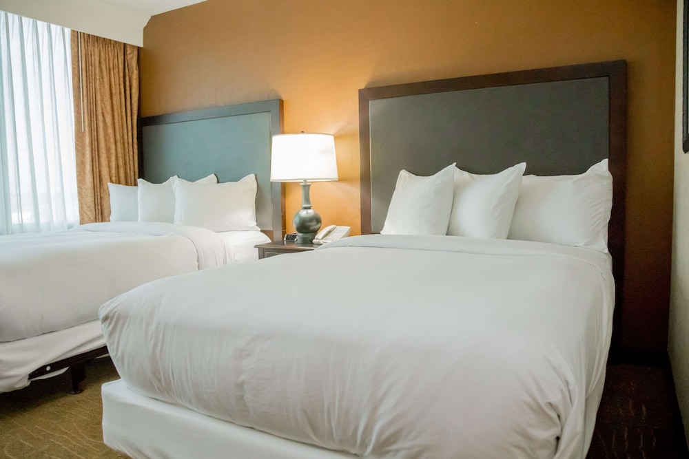 Embassy Suites by Hilton Lexington Green - photo 22