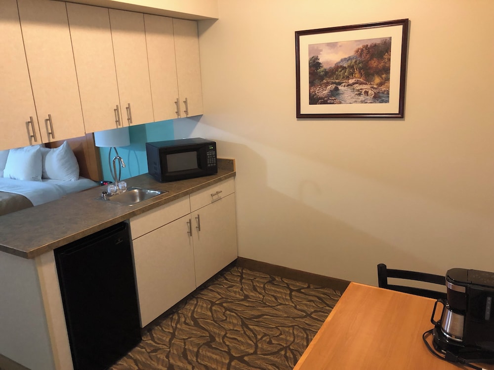 Aspen Hotel Soldotna - photo 9
