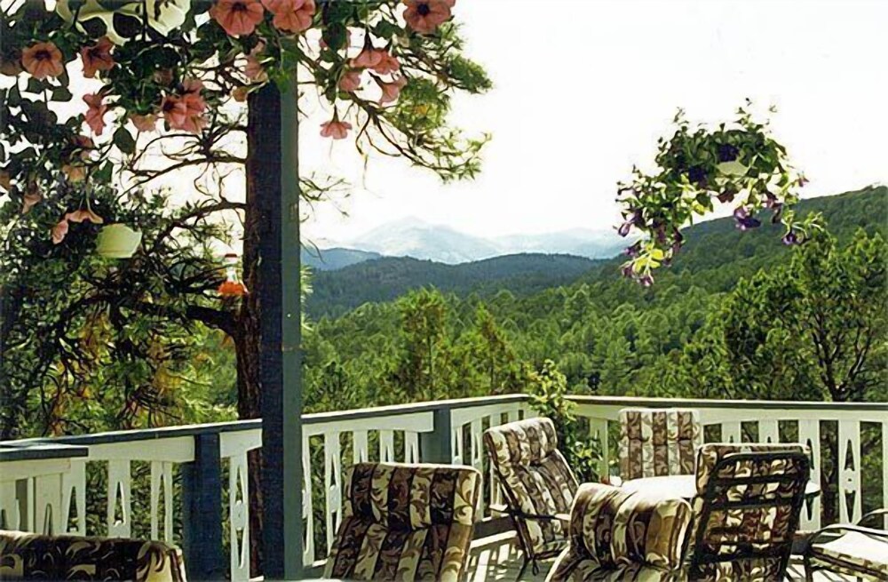 Swiss Chalet Inn - photo 13