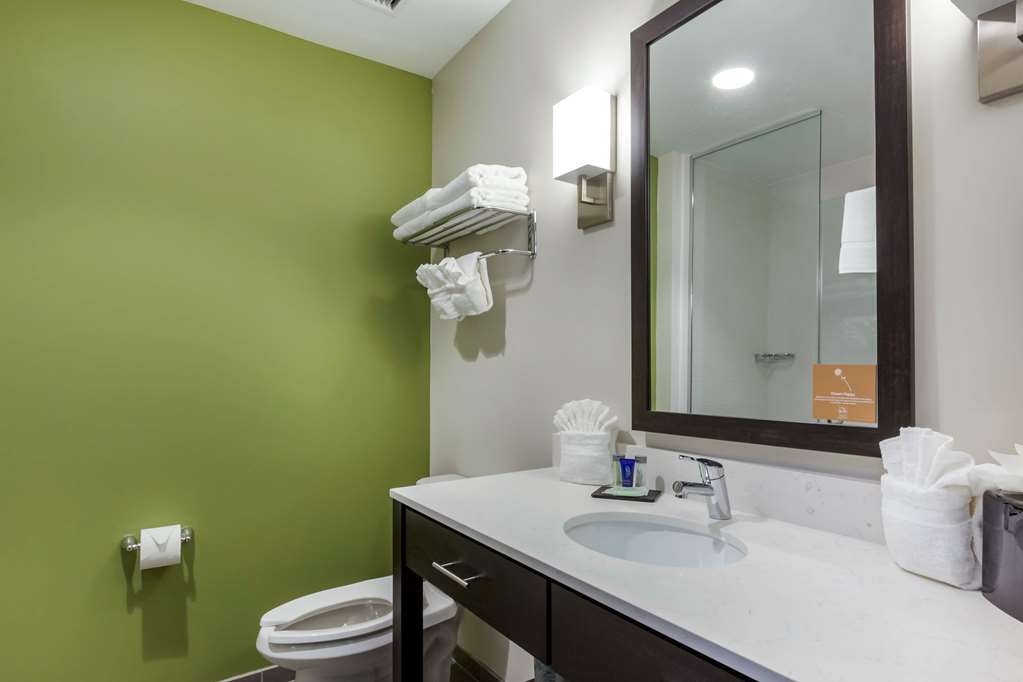 Sleep Inn & Suites Tampa South - photo 27