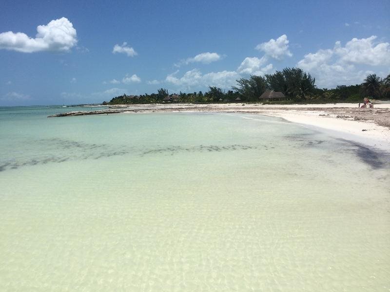Rhincodon Typus Glamping in Isla Holbox, Mexico
