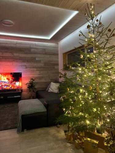 Luguse Älfi Maja in Unknown City, Estonia