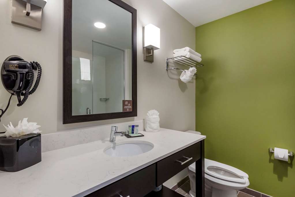 Sleep Inn & Suites Tampa South - photo 25