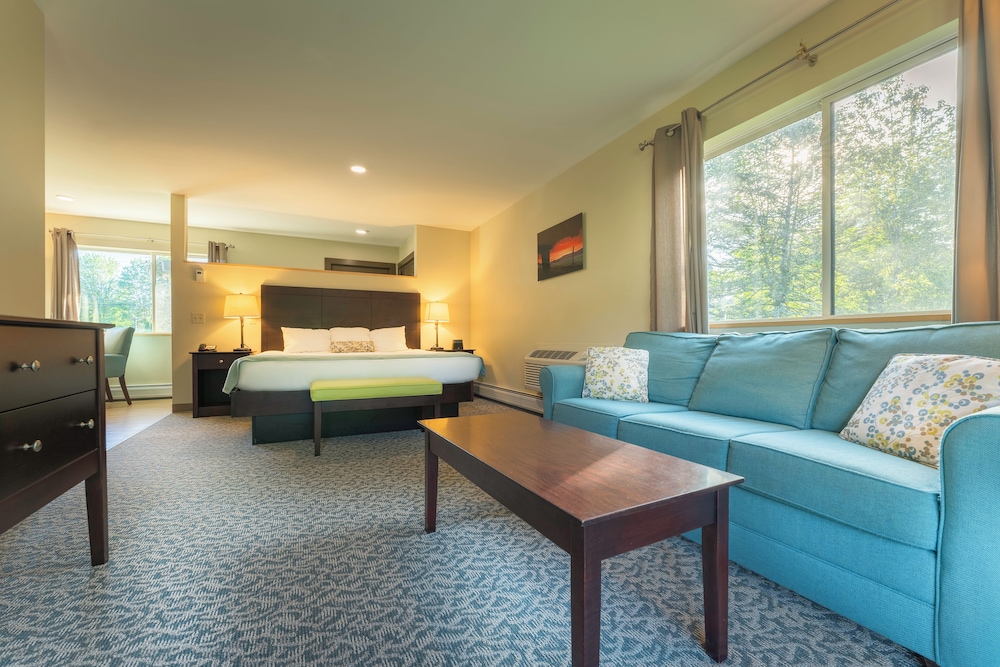 Sun & Ski Inn And Suites - photo 56