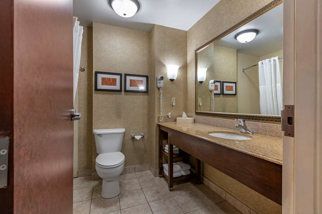 Comfort Suites Grand Rapids South - photo 24