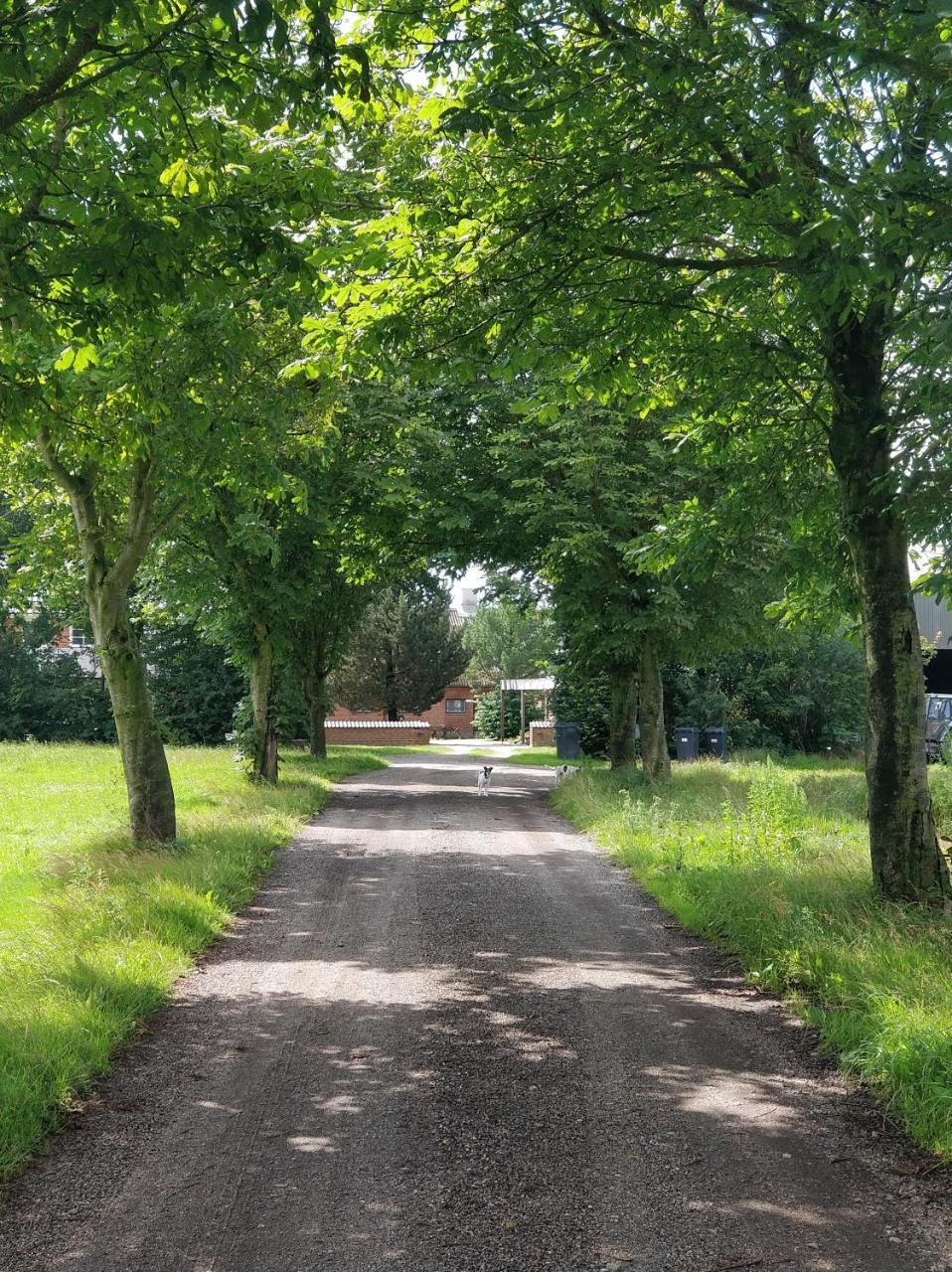 Kristinebjerg — Jelling