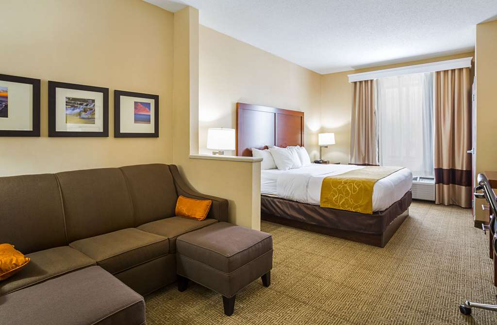 Comfort Suites Twinsburg - photo 30