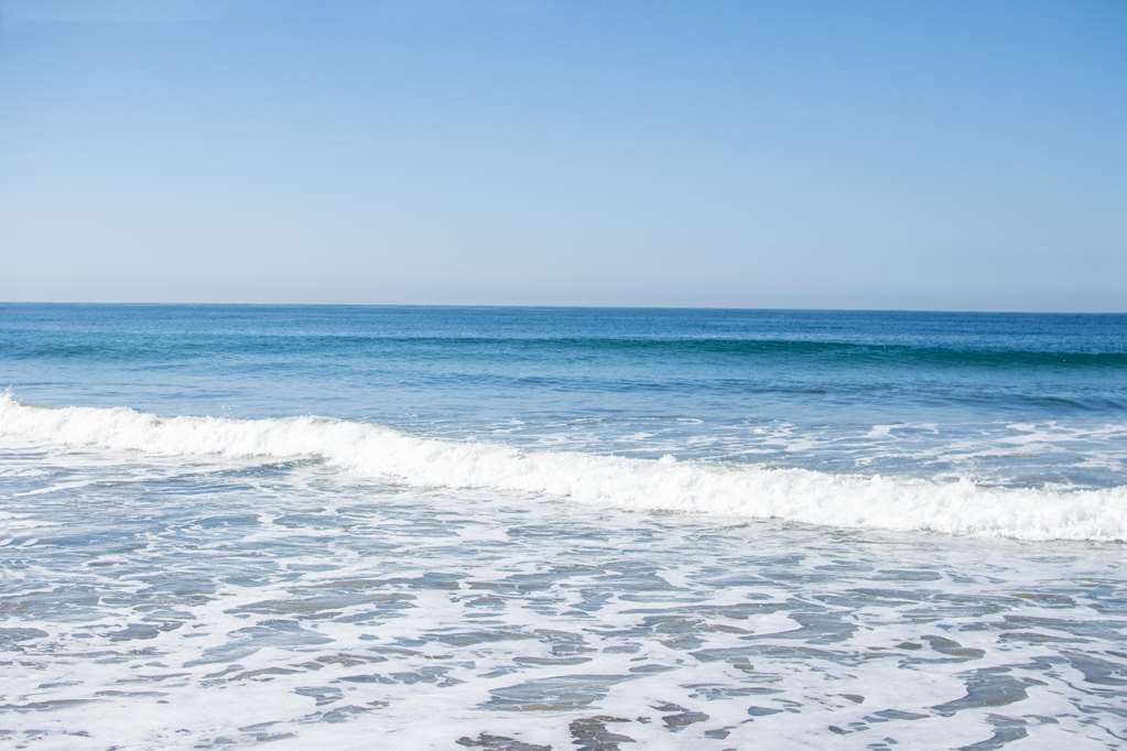 Ocean Palms Beach Resort - photo 111