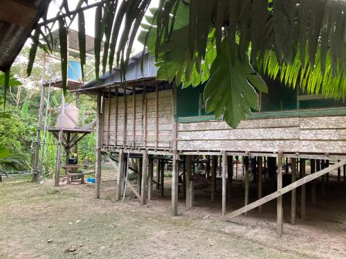 Explorer Iquitos in Iquitos, Peru