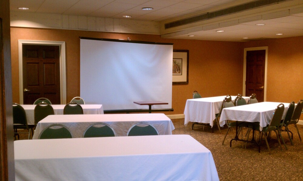 Richmond Suites Hotel - photo 35