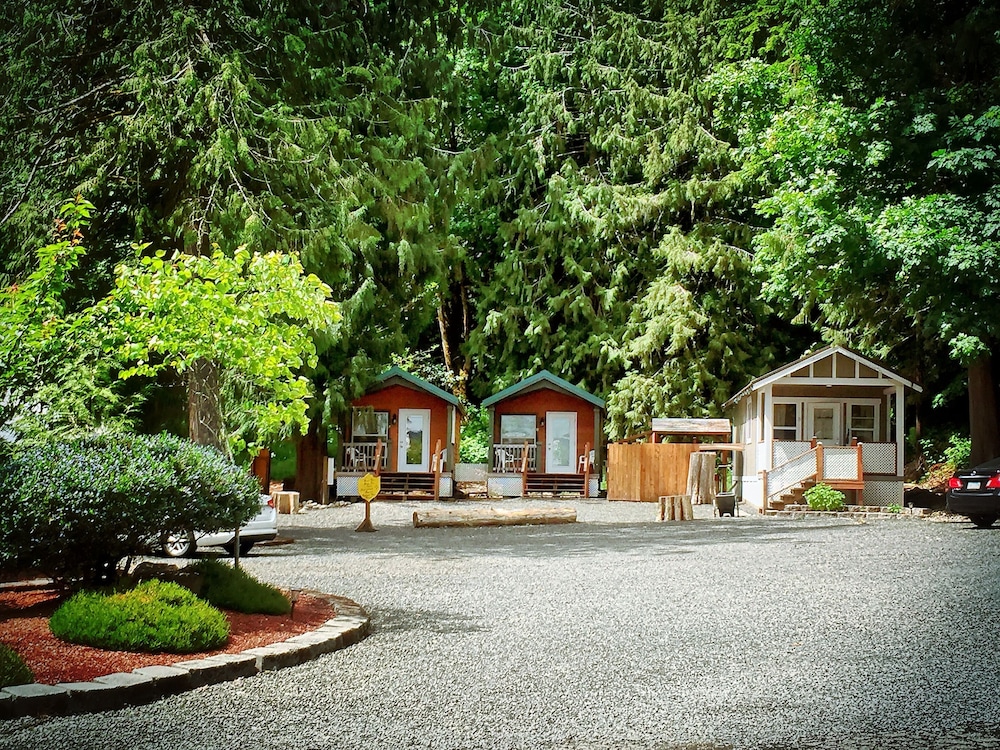 Robin Hood Village Resort - photo 35
