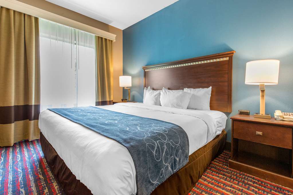 Comfort Suites Fairview Heights St. Louis - photo 27