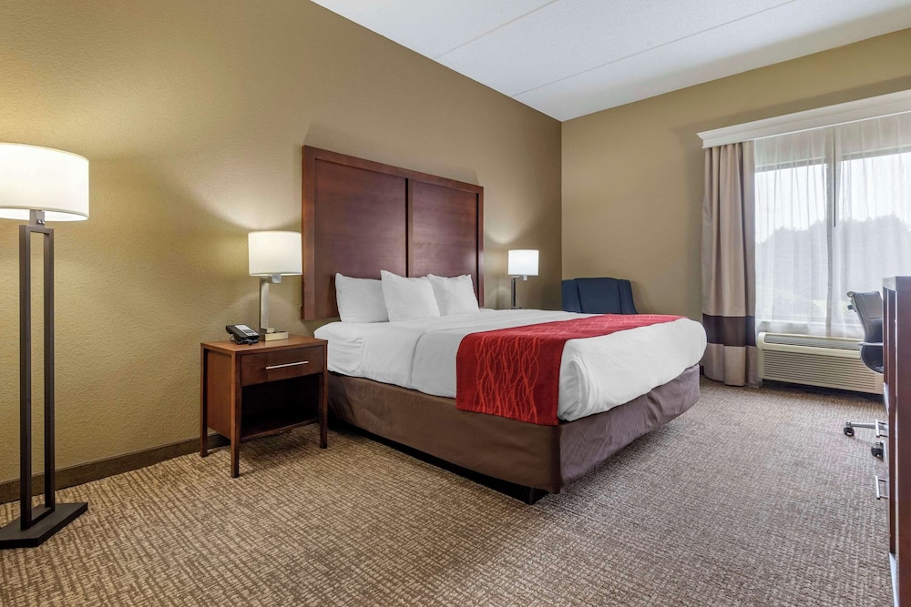 Comfort Inn & Suites Mocksville I 40 - photo 14