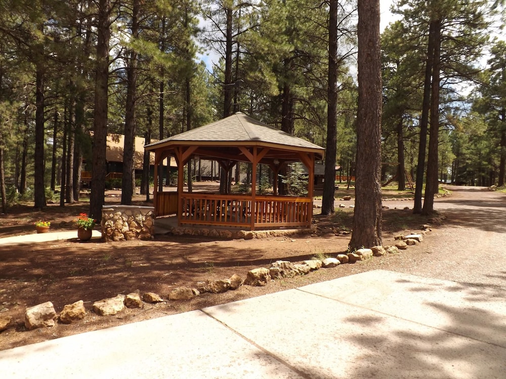 Arizona Mountain Inn and Cabins - photo 317