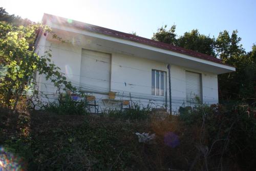 Skadar Lake Sara 3 Dm in Cetinje, Montenegro